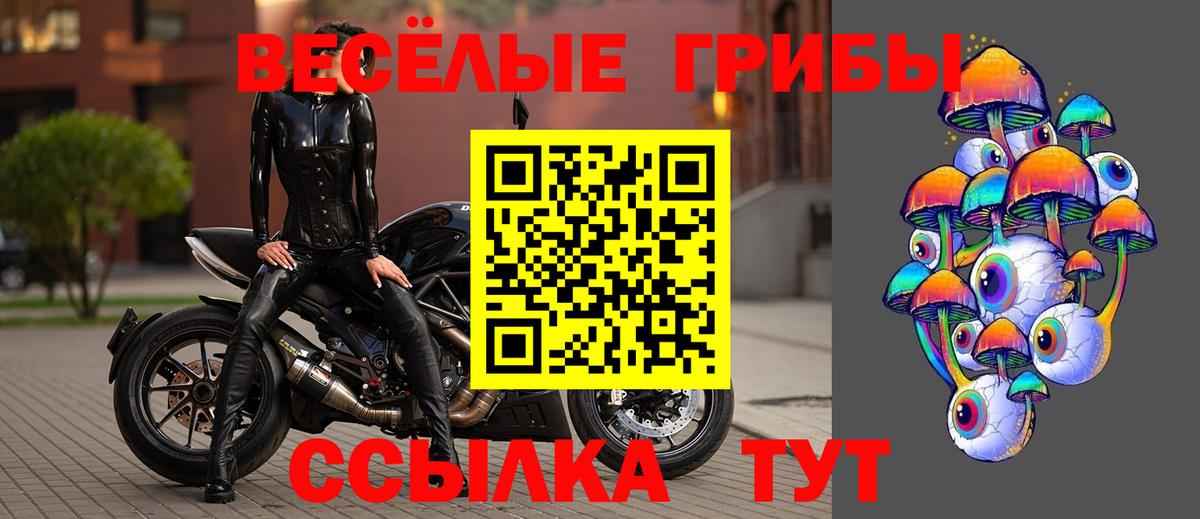 Ирбит  Галлюциногенные грибы MAGIC MUSHROOMS  Вход с VPN 